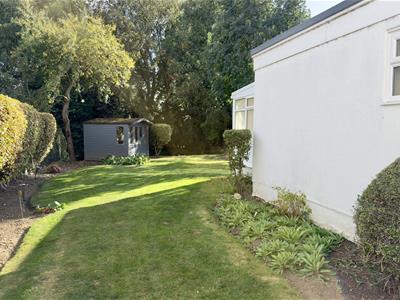 Picture 29